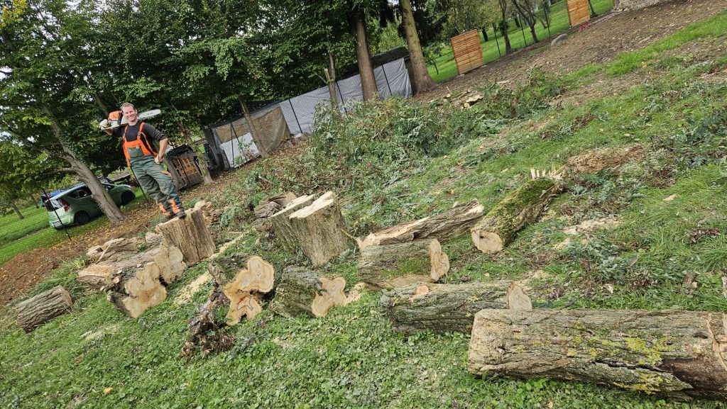 Matthias mit der Motorsäge